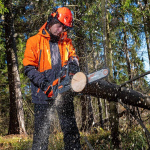 Бензопила DAEWOO DACS 4516 +сумка