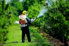 Опрыскиватель бензиновый ранцевый STIHL SR450 (42440112663)