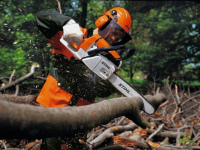Бензопила STIHL MS260 18