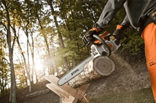Бензопила STIHL MS170 14