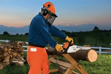 Бензопила STIHL MS170 14