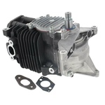 Поршневая группа Stihl 42820200201 (двигатель в сборе 08.2021) для BR600/700