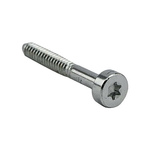 Винт крепления картерка D5.3х41 Holzfforma TD53410 (аналог 90754784195) для MS250