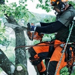 Бензопила HUSQVARNA T435 12